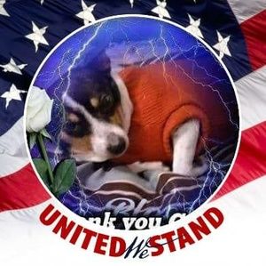 Meet your Posher, Alice